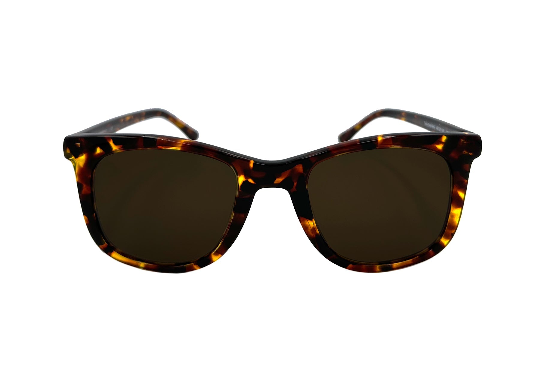 brown polarised wayfarer sunglasses from Ozeano Vision